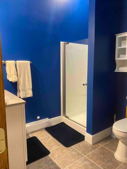 Apartamento The Cast Iron Lady Wyalusing Exterior foto